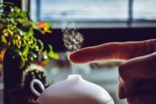humidifier or diffuser choice